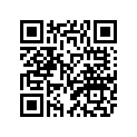 1RL-21316-00-WL Кронштейн