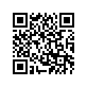 1SS-2173E-60-00 GRAPHIC 1