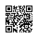 1T9-11161-00-00 アブソーバ 1