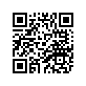1TP-28110-00-00 Инстумент Ремонтный (Комплект)