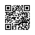 1VJ-26241-00-00 GRIP (L.H)
