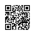 1XD-13761-00-00 INJECTOR