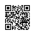 204050606 Pare-chocs*bumper-charc.gray ( )