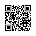 204060684 RUBBER PAD