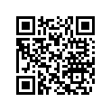 204071122 Poign.maint. *handle-grab
