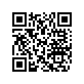 204071874 Amortisseur*shock-gas