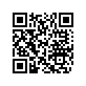 204071925 Amortisseur*shock-gas