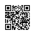 204100127 SCREW-SOCKET HD.1/4