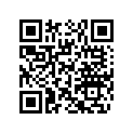 204130183 STAINLESS STEEL DOWEL PIN 1/4