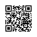 204250048 SHIM 0.3 MM