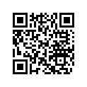204471344 Speaker, Silver