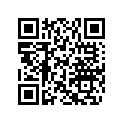 204901334 WARNING DECAL, LADDER