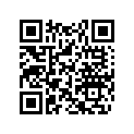 205062047 Screw-socket Hd.din.912