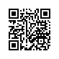 20S-2117K-00-00 STAY, LOCK