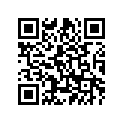 20S-83328-00-00 STAY, FLASHER 2