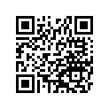 21027004 КОЛЬЦО УПЛОТНИТЕЛЬНОЕ, РЕЗИНА