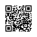 21119-0010 Igniter Us