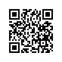 21200-17810-000