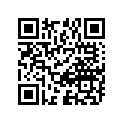 21211-24301