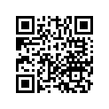 21313-MG8-000 SIM FINAL D/S 0.5