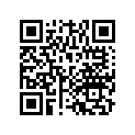 21383-HA0-000 Shim (0.30)