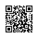 214-27421-00-00 Подножка
