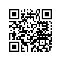 21V-14146-00-00 Пластинка Металлическая