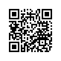 21W-14107-12-00 Клапан Игольчатый