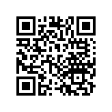 22552-PA9-010 PLATE(2)(2.6MM)