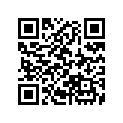 22885-MB0-006 Втулка