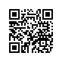 22F-25381-00-00