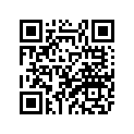 22F-25381-10-00