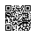 22U-11656-00-00 Вкладыш Шатунный