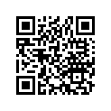 23131-463-003 Chain, Primary Drive