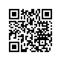 234062430 Washer