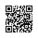 239-14172-14-00 . . Pilot Jet, Air