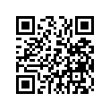 23P-11656-30-00 Вкладыш Шатунный