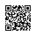 23P-17524-00-00 HOLDER