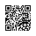 23P-17687-00-00 SHIM