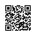 24100-38813