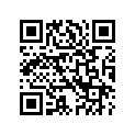 24100080 BEARINGANDRACEKIT,FLYW