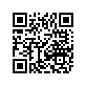 2411-124 DECAL,WARNING-GENERAL 16