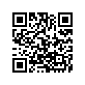 2411-213 DECAL,PDM (2010 FIS EPS)