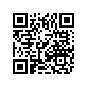 2411-311 DECAL,STARTING INSTRUCTIONS-PARK