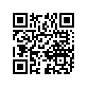24130-05300