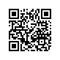 2416-175 BRKT,ECU-SYN