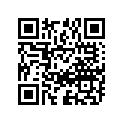 24351-45104