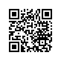 24430-437-000 Stopper
