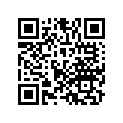 24614-ZW9-010 SSBY-11-24614-ZW9-020-LEVER,SHIFT