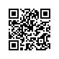 248-21622-00-33 BAND,FLAP